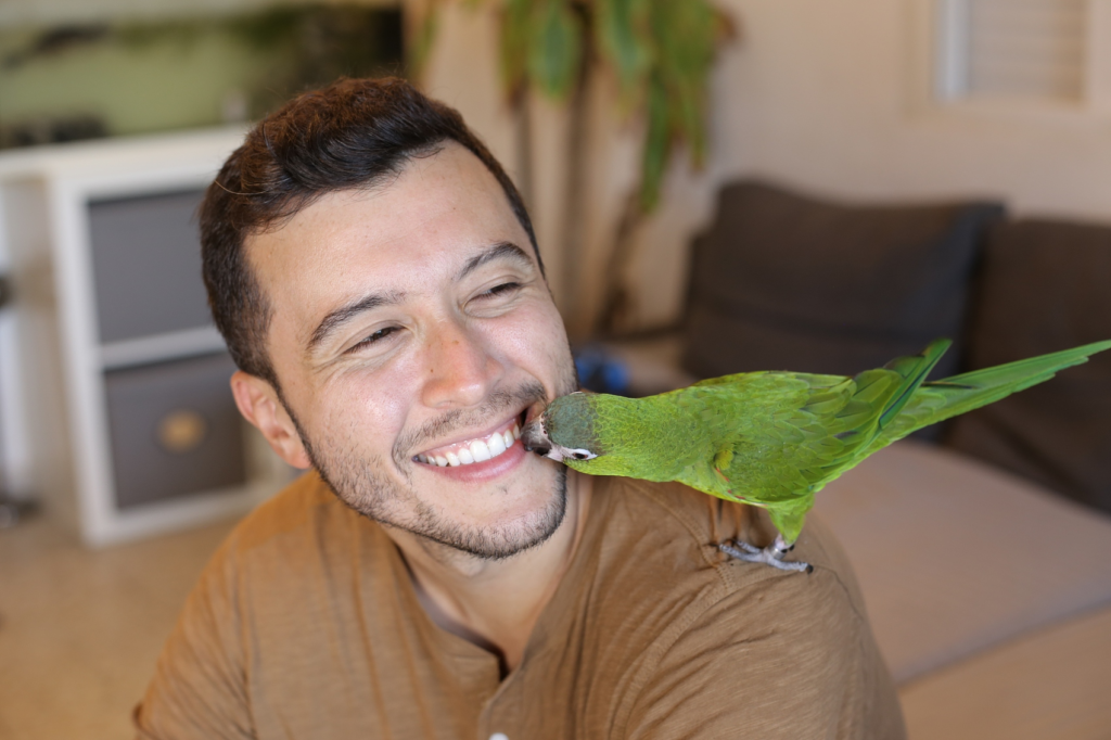 Five Major "Taboos" in Parrot Care 002